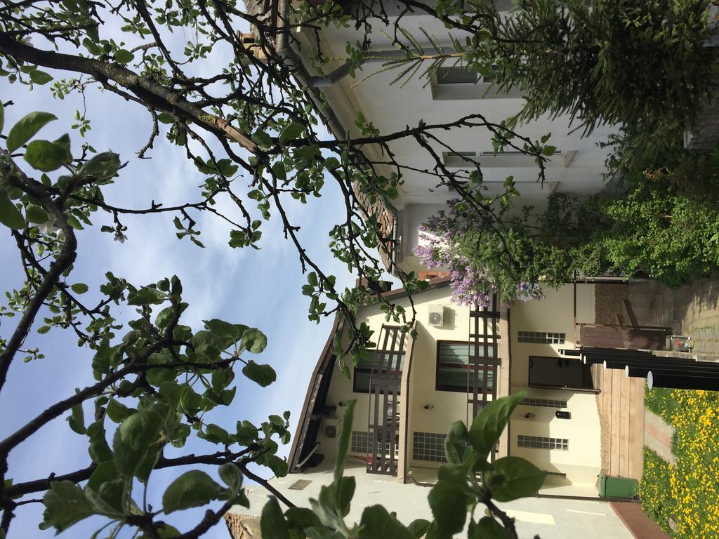 Casa Transilvania 브라쇼브 외부 사진